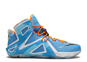 Nike LeBron 12 Elite Elevate (WORN)