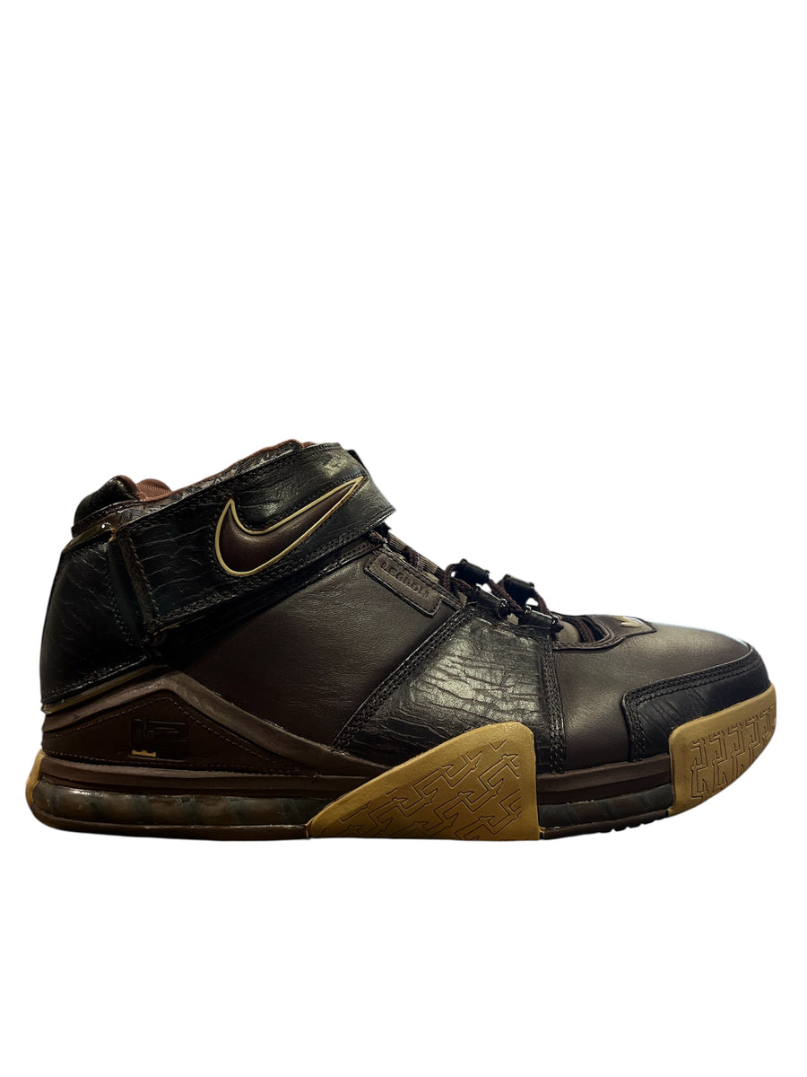 Nike Zoom Lebron 2 Hardwood (WORN)