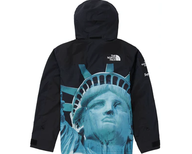 Supreme The North Face Statue of Liberty Mountain Jacket Black (WORN)