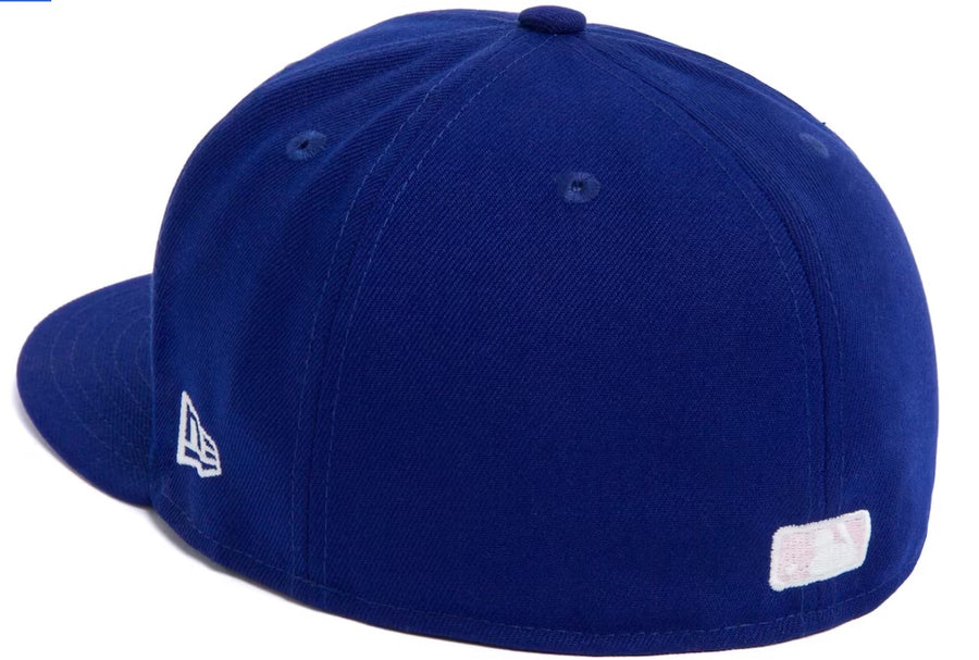 Nike SB Born X Raised New Era Dodgers Rocker Hat Blue/Pink