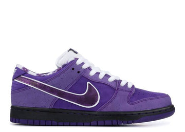Nike SB Dunk Low Concepts Purple Lobster (WORN)