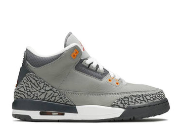 Jordan 3 Retro Cool Grey 2021 (WORN)