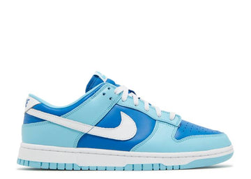 Nike Dunk Low Retro QS Argon (2022) (WORN)