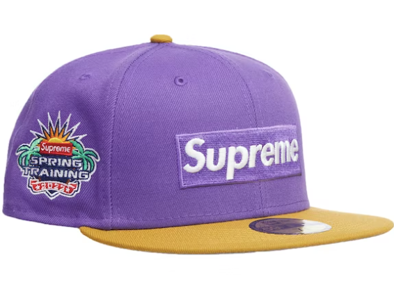 Supreme 2-Tone Box Logo New Era Purple