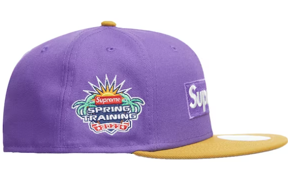 Supreme 2-Tone Box Logo New Era Purple