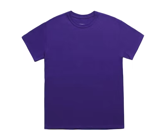Drake Scorpion City Tour T-shirt Purple